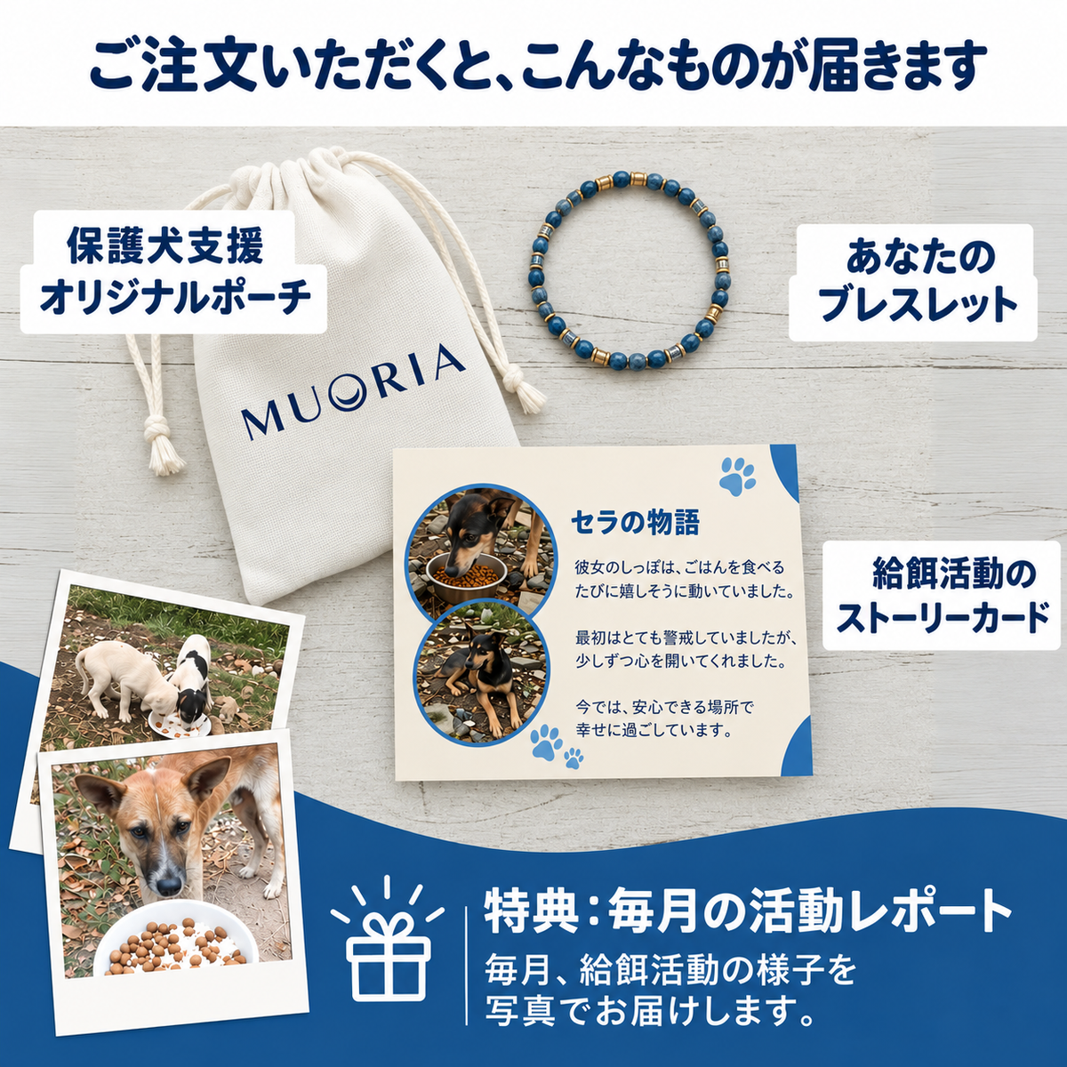 MUORIAの保護犬支援：これまでに5,000食以上のごはんを提供