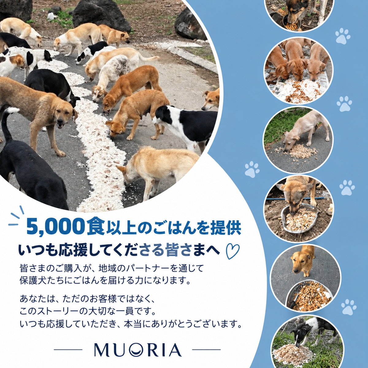 MUORIAのお届け内容：保護犬支援オリジナルポーチ・ブレスレット・ストーリーカード