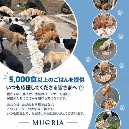 MUORIAのお届け内容：保護犬支援オリジナルポーチ・ブレスレット・ストーリーカード