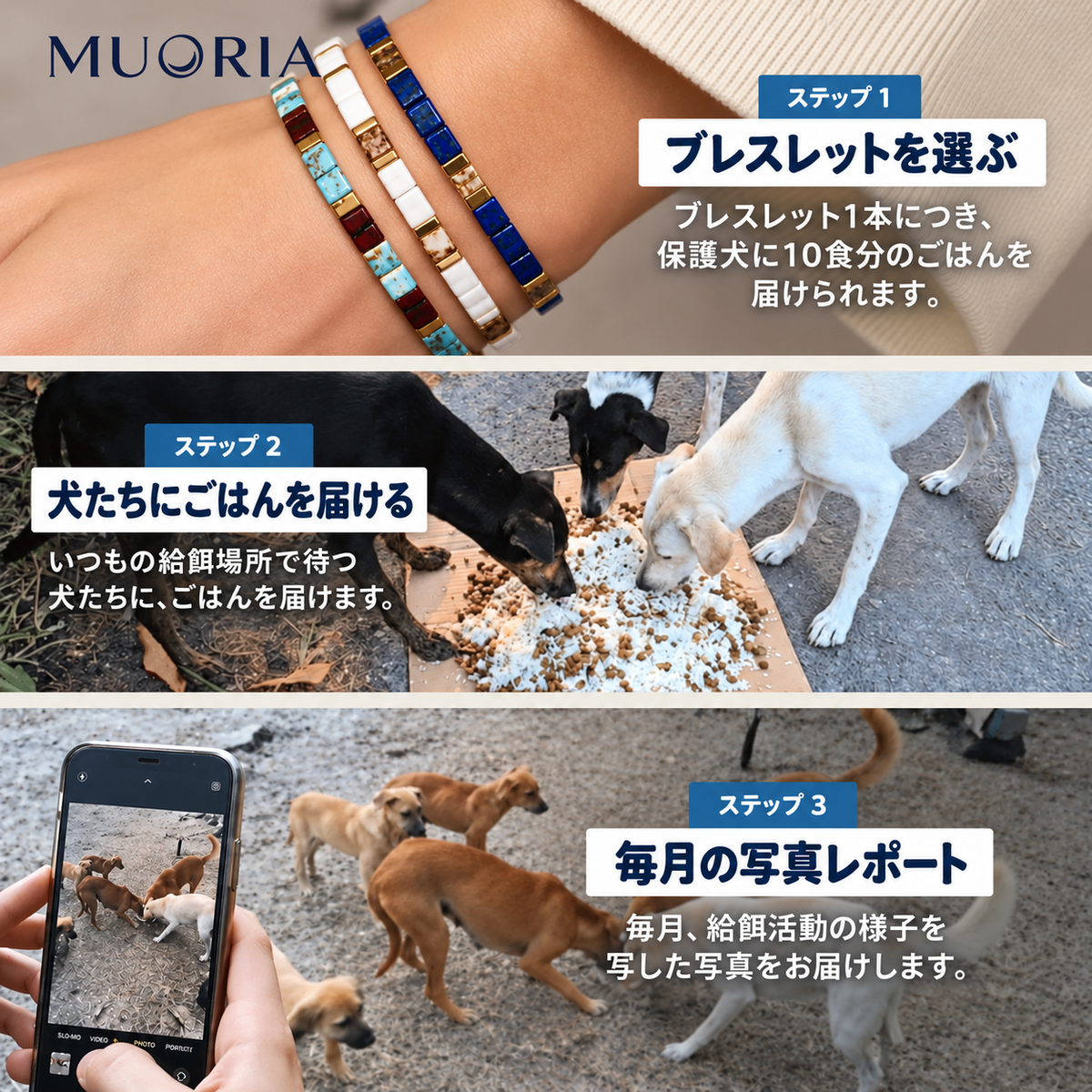 MUORIAのしくみ：ブレスレットを選ぶ・犬たちにごはんを届ける・毎月の写真レポート